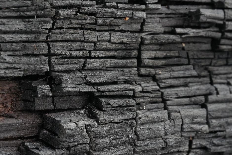 Close-up image of the cross-section of a wood log, showing a smooth, light brown interior surface with visible growth rings and small, dark insect holes, surrounded by rough, blackened, burnt outer ba