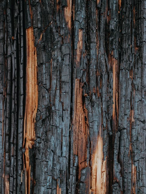 Close-up image of charred or burnt wood with blackened, cracked, and peeling surface, revealing reddish-brown and greyish hues underneath. The textured bark shows vertical ridges and irregular patterns typical of burnt timber. This image may be used to illustrate the need for bulk waste removal or disposal of damaged materials during house clearance or moving projects. In the context of home relocation services provided by Man with Van Burnt Oak, the image emphasizes the importance of proper waste management and clearing damaged or unwanted items such as charred furniture or broken wooden structures during packing, loadings, or furniture transport inside the property or onto the van in Burnt Oak. The lighting appears neutral, highlighting the rugged texture of the wood, and the scene is focused solely on the charred wood surface without any additional objects or background elements.