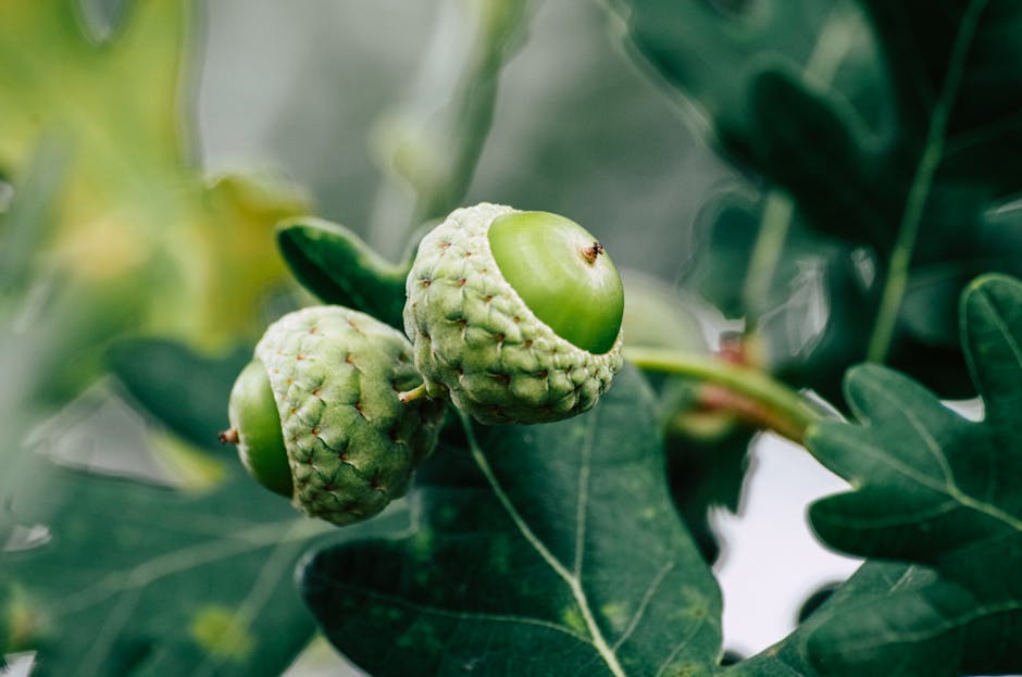 A large deciduous tree with mostly bare branches and some remaining yellow and green leaves stands centrally in a grassy park area during late autumn or early winter. The grass appears slightly frosted, and the ground is shaded by the tree, creating a contrast between sunlit and shadowed areas. In the background, there are additional leafless and partially leafless trees along the horizon, with a clear, pale blue sky overhead. Within the park, near the tree, there are two wooden picnic tables and a portable bench, all positioned on the grass. To the far right of the image, a white goalpost is visible, indicating the space may be used as a sports field. The scene is calm and open, typical of a public park, with natural lighting suggesting either early morning or late afternoon. This outdoor setting highlights the seasonal change and provides a tranquil environment, relevant to the context of home relocation or moving logistics, as visual cues for a peaceful, natural backdrop for furniture transport or packing preparation in a house removal service provided by Man with Van Burnt Oak.